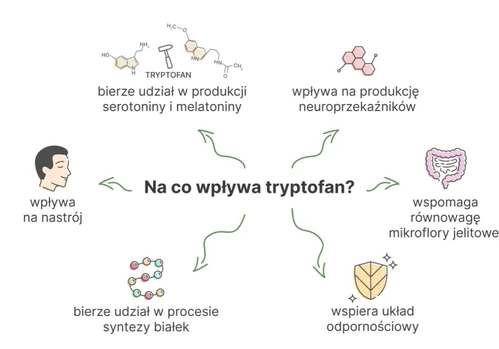 Tryptofan - aminokwas na sen i nastrój? Sprawdź, jak działa!