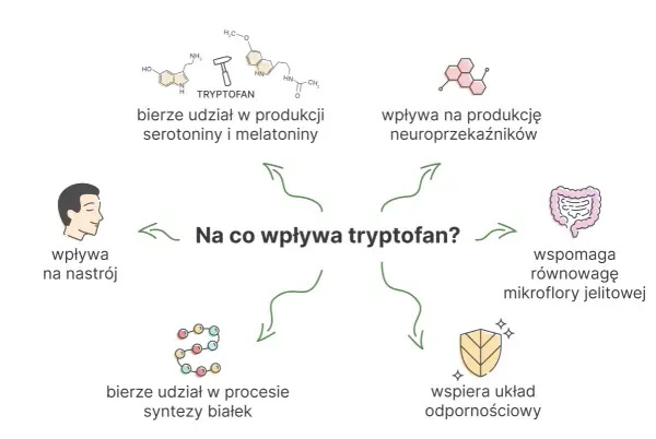 Tryptofan - aminokwas na sen i nastrój? Sprawdź, jak działa!
